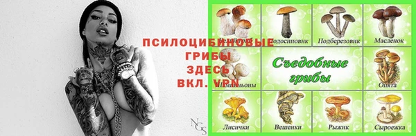 прущие грибы Нефтегорск