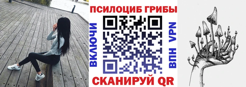 Псилоцибиновые грибы Cubensis  Ужур 